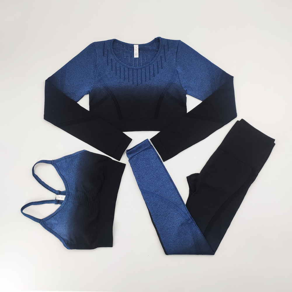 Yoga Tracksuits Women's Seamless Sets Fitness Sport Suits Gym Sportswear Crop Top High Waist Running Leggings Sports Bras · v2